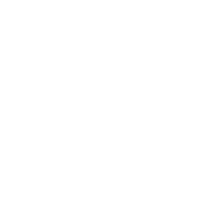 cupra_service-weiss